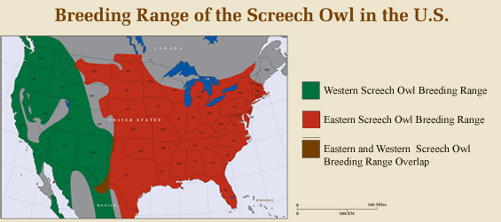 Range Map of the Eastern and Western Screech Owls