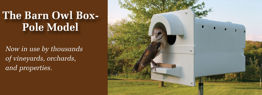 Barn Owl Nest Box Pole Model Barn Owl Box Company