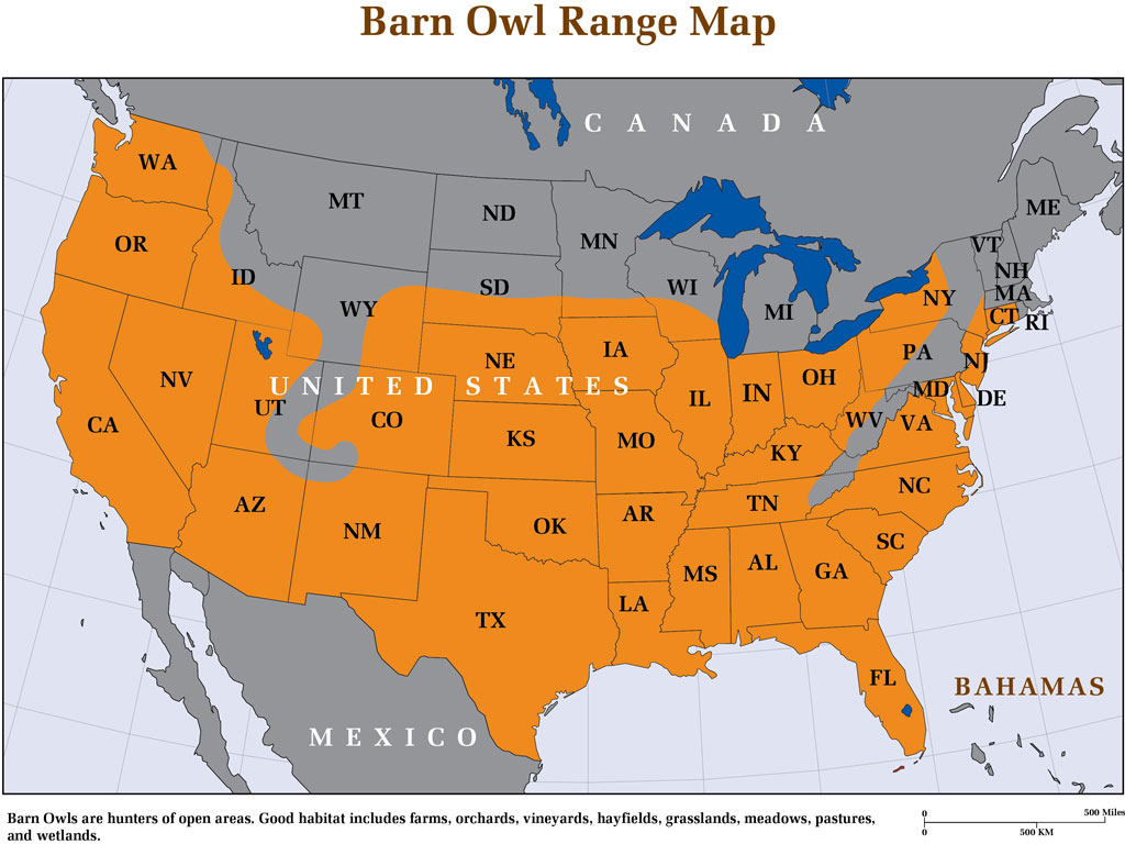 Range of Barn Owl populations in the United States