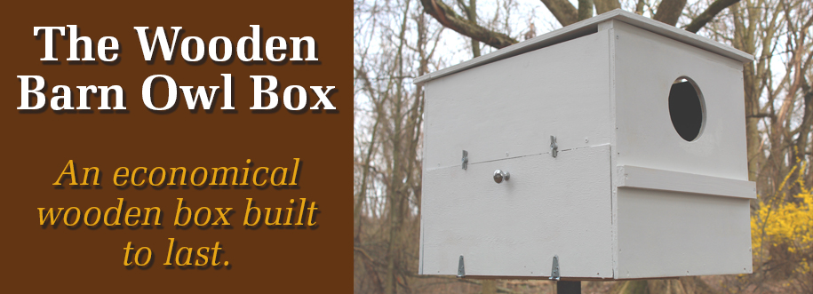 barn owl box with camera