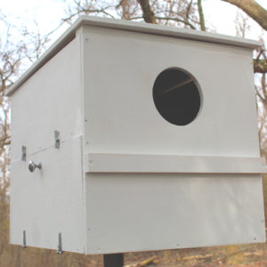 Barn Owl and Screech Owl and Bluebird Nest Boxes | Barn Owl Box Company