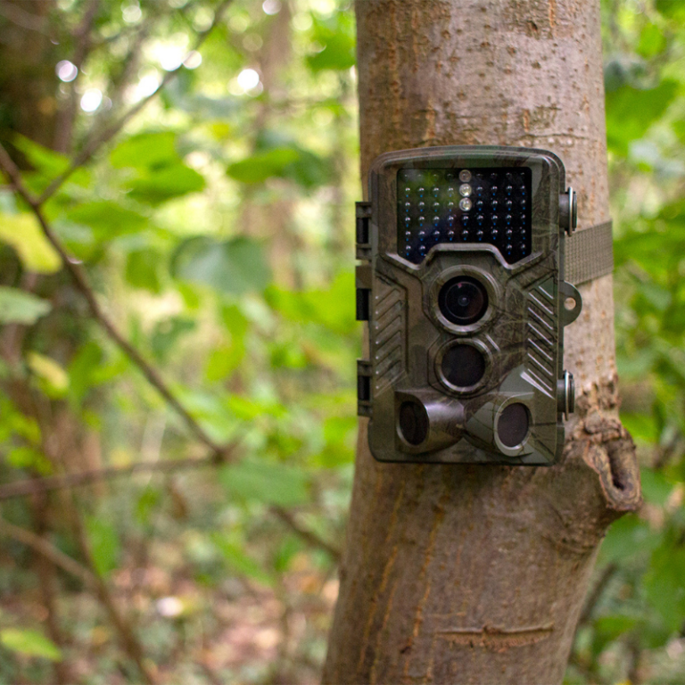 Wildlife Trail Camera | Barn Owl Box Company