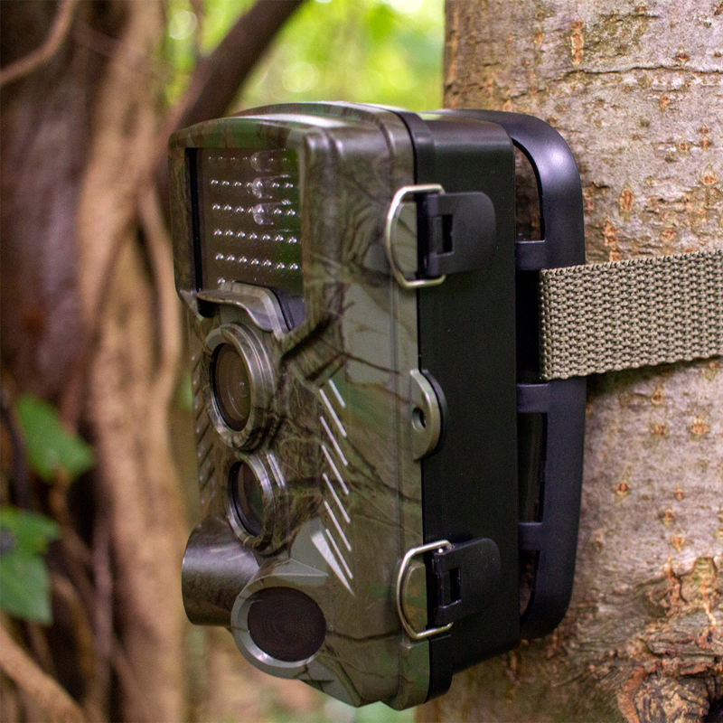 Wildlife Trail Camera | Barn Owl Box Company